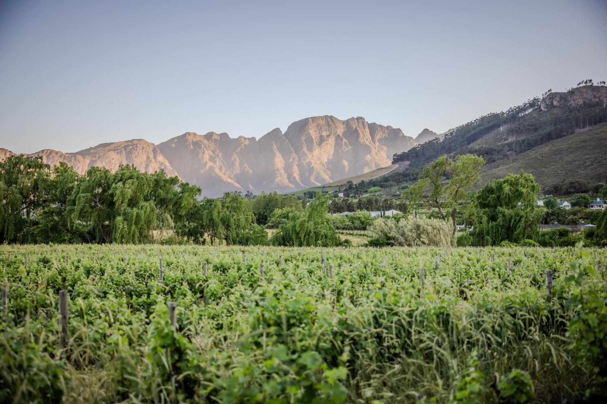 Hotel Grande Provence Franschhoek Esterno foto